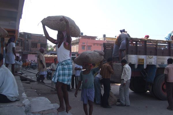 Market Functionaries